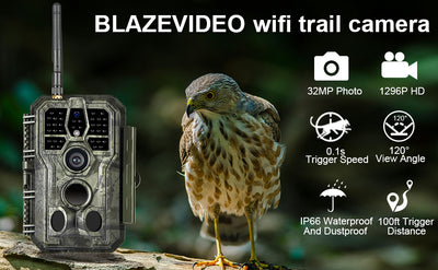 ON THE TRAIL OF THE THYLACINE? WE TEST THE BLAZEVIDEO A280W TRAIL CAMERA ON OUR PROPERTY