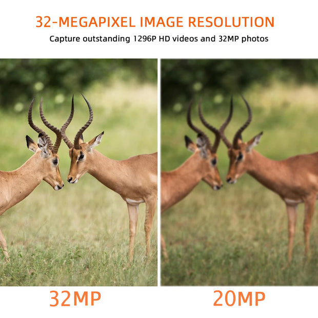2-Pack Trail Wildlife & Field Tree Animal Cameras 32MP 1296P H.264 Video Waterproof No Glow Infrared Motion Activated with Night Vision Time Lapse