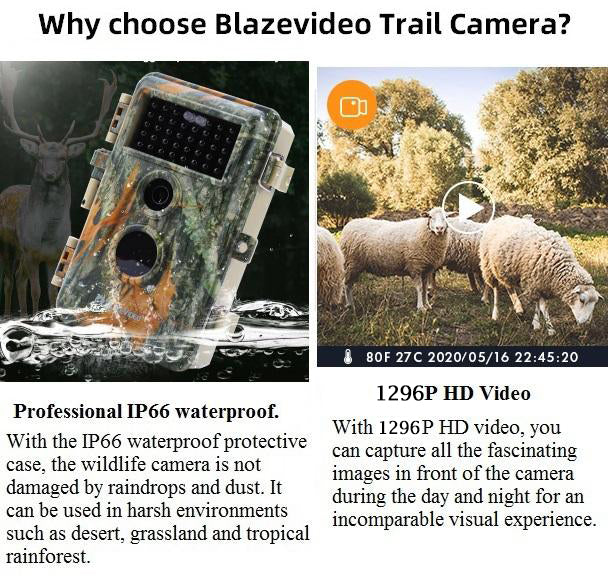 4-Pack Game & Trail Wildlife Cameras 24MP 1296P Video Night Vision Motion Activated Time Lapse Multi-shot Mode Black Flash Photo and Video Model.