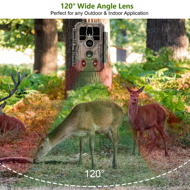 garden wildlife video camera