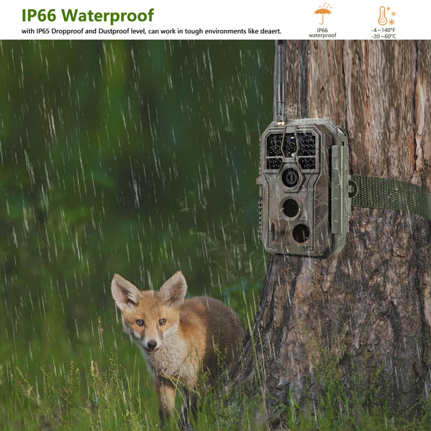 Wireless WIFI Wildlife Trail Camera 32MP Photo 1296P Video Security Farm Camera with Night Vision Motion Activated Waterproof No Glow | A280W