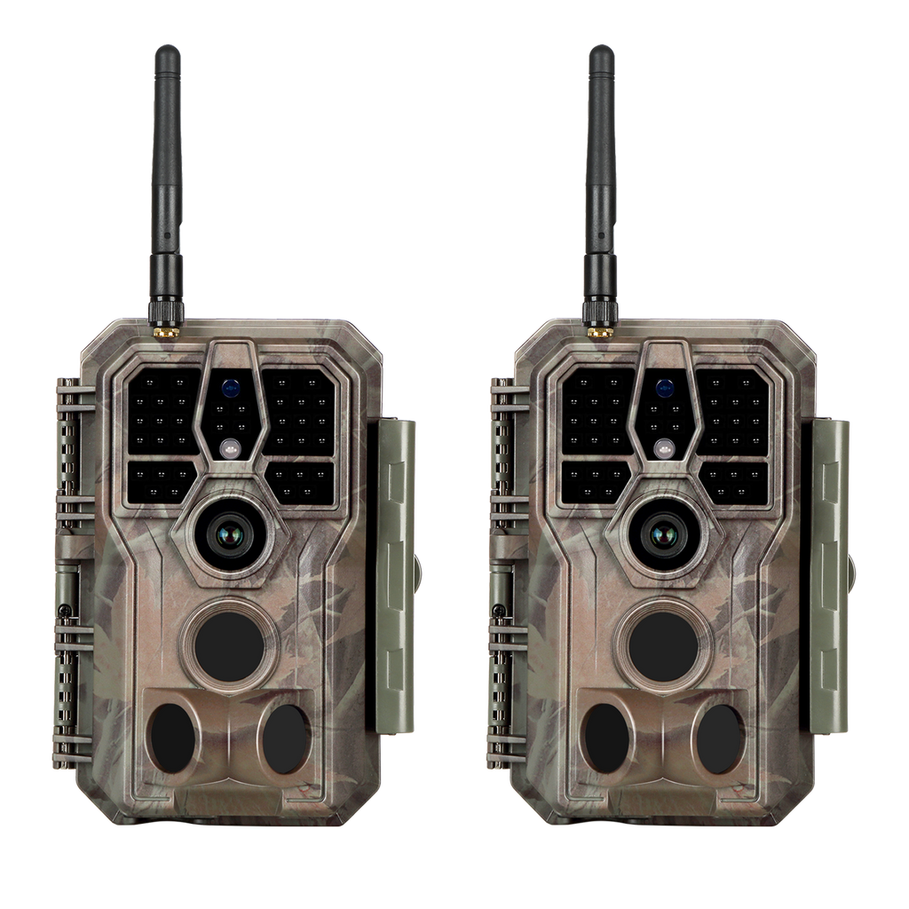 coolife wildlife camera