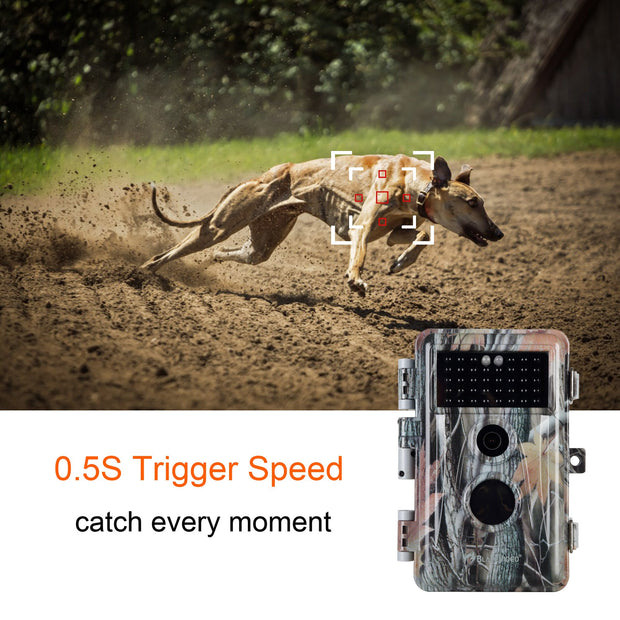 10-Pack Camo Game Trail Wildlife Deer Animal Cameras 24MP H.264 2304x1296P Video No Flash Infrared Motion Activated Waterproof Photo & Video Model.